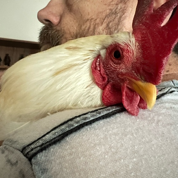 One Blue Crochet Headscarf Bandana - Picture 6 of 7